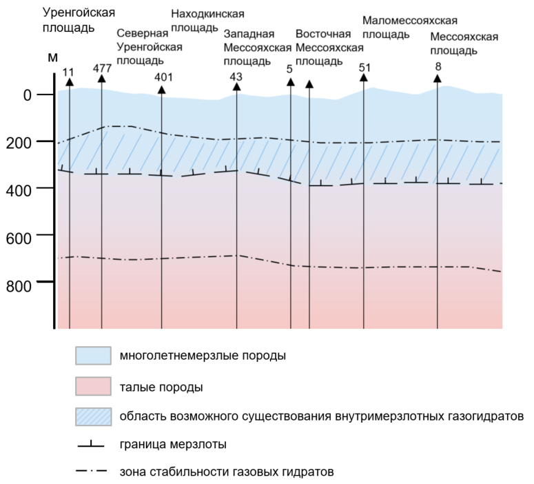 сколтех 2.png