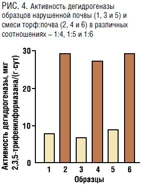 рис 1.jpg