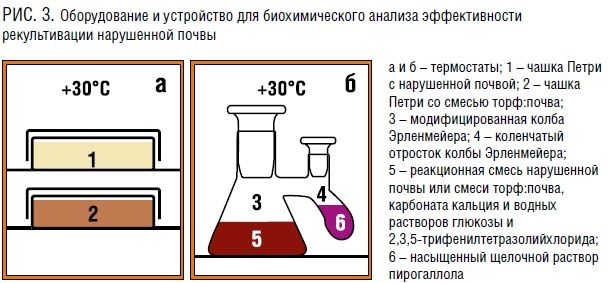 рис 1.jpg